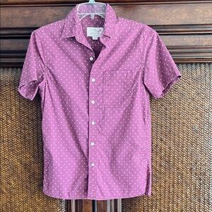 American Eagle Outfitters Men's Purple Polka Dot Shirt